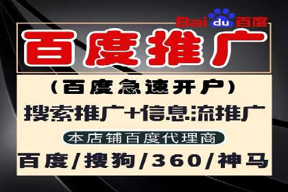 百度推广费用策略在竞争激烈市场的应用案例